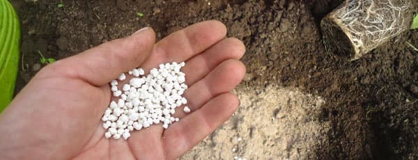Азотные удобрения — правильный старт сезона