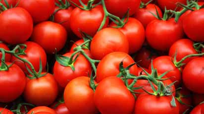 Как пасынковать томаты