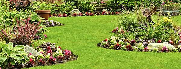 Что делать с газоном весной: реанимация, удобрения, уход