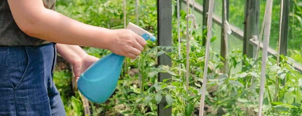 Что нужно сделать в мае в саду и огороде: самые важные задачи