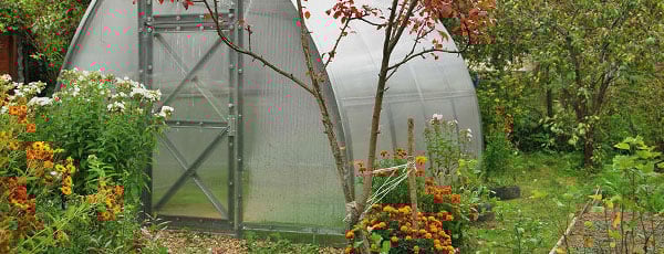 Что нужно сделать в сентябре в саду и огороде, чтобы правильно завершить сезон