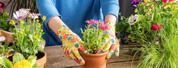 Что посеять в марте на рассаду? Список овощей и  цветов