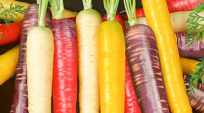 5 способов посеять морковь: самые проверенные методы