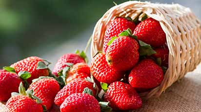 Чем можно подкормить клубнику весной и в начале лета для хорошего урожая