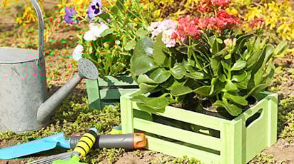 Дачный сезон 2021 – большая подготовка. Сажаем семена на рассаду по правилам