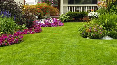 Как и когда нужно засевать газон, оптимальные сроки