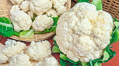 Как вырастить рассаду цветной капусты