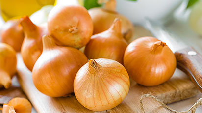 Как вырастить репчатый лук из семян