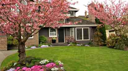 Урожайный сад: правила совместимости деревьев и кустарников - Беккер.Бу Урожайный сад: правила совместимости деревьев и кустарников