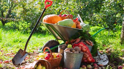 Правильная подготовка к сезону рассады – гарантия большого урожая!