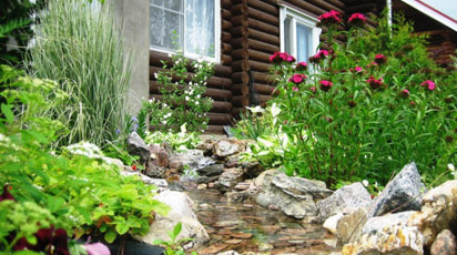 Растения для альпийской горки: ассортимент видов и сортов