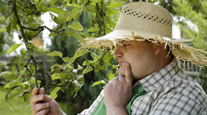 Советы начинающим садоводам и огородникам