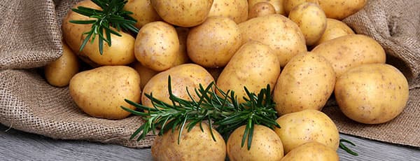Желтый картофель - лучшие сорта