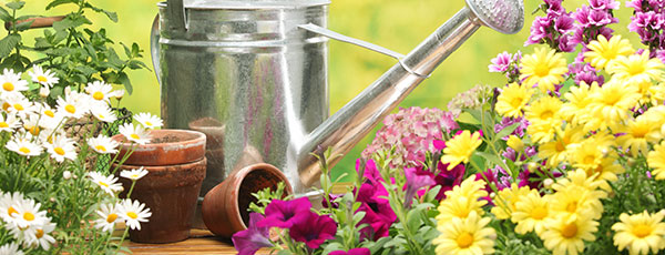 Календарь садовода и огородника на июль 2021: 30 важных дел