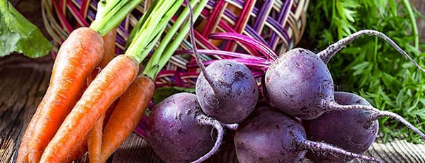 Всему свое время: календарь посадки овощей по месяцам