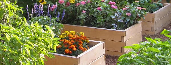 Высокие грядки – правильный огород