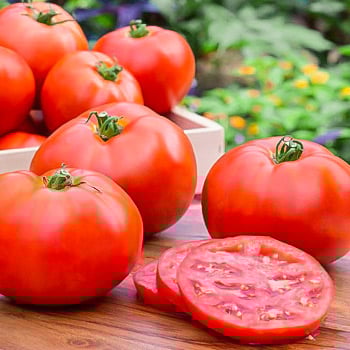 Томат индетерминантный ( высокорослый)