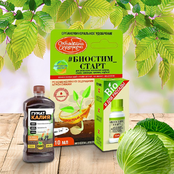 Удобрения для капусты