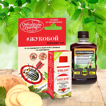 Удобрения для картофеля