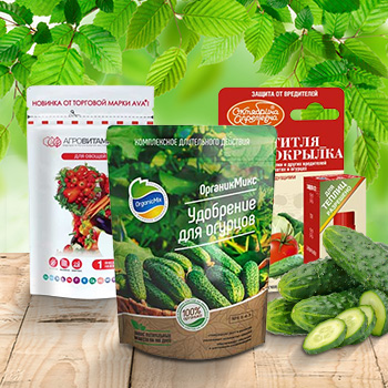 Удобрения для огурцов, кабачков, тыкв