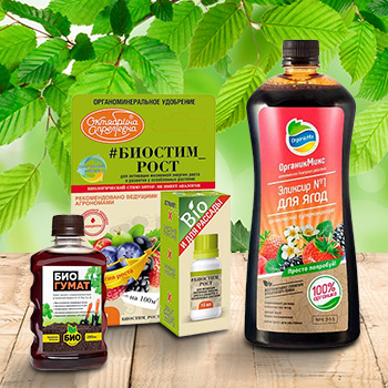 Удобрения для ягодных культур