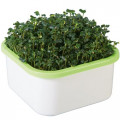Проращиватель: «Моя микрозелень» изображение 2 артикул 85210