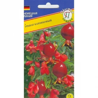 Гранат карликовый, семена изображение 10