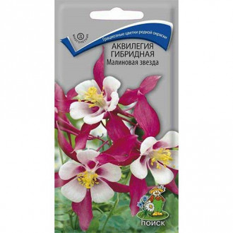 Аквилегия гибридная Малиновая звезда изображение 9