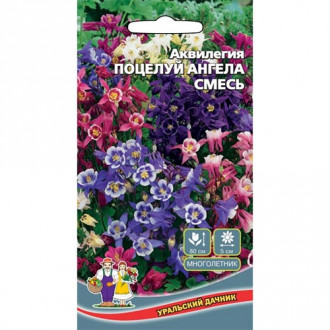 Аквилегия Поцелуй ангела, смесь окрасок изображение 16