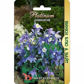 Аквилегия Винки Блю & Вайт, семена изображение 8