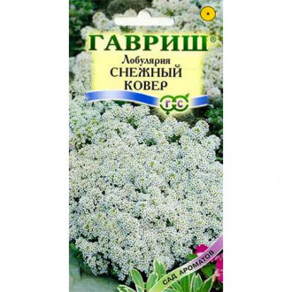 Алиссум Снежный ковер, семена изображение 11