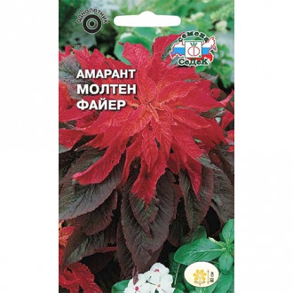 Амарант Молтен Файер, семена изображение 12