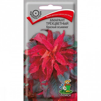 Амарант трехцветный Красный осьминог, семена изображение 17