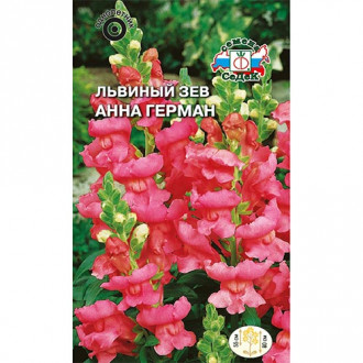 Антирринум (львиный зев) Анна Герман, семена изображение 6