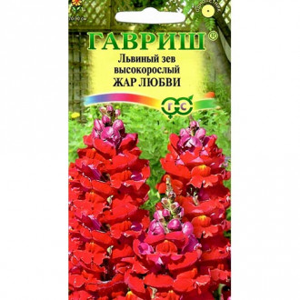 Антирринум (львиный зев) Жар любви, семена изображение 11