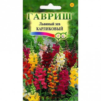 Антирринум (львиный зев) Карликовый, смесь окрасок фото 16 Антирринум (львиный зев) Карликовый, смесь окрасок изображение 16