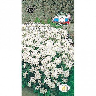 Арабис альпийский Лапландия, семена изображение 8