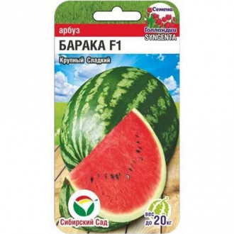 Арбуз Барака F1, семена изображение 13