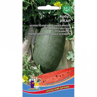 Арбуз Икар, семена изображение 14
