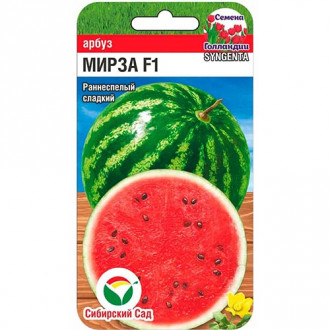 Арбуз Мирза, семена изображение 12