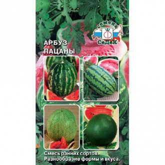 Арбуз Пацаны, смесь сортов изображение 14