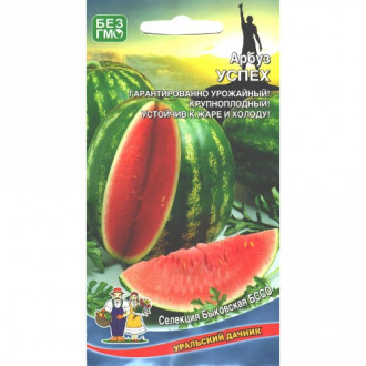 Арбуз Успех, семена изображение 13