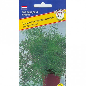 Аспарагус густоцветковый (Шпренгера) изображение 8