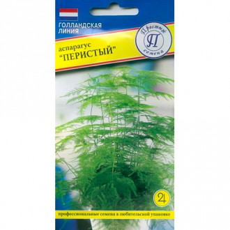Аспарагус перестый изображение 9