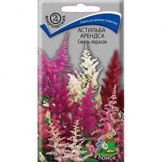 Астильба Арендса, смесь окрасок изображение 9