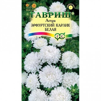 Астра Эрфуртский карлик Белая, семена изображение 7