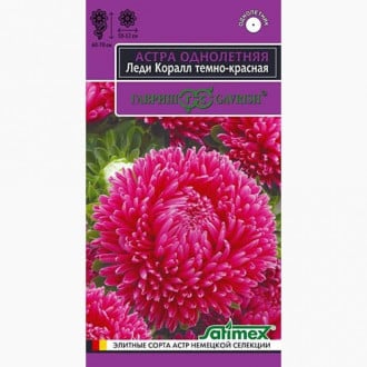 Астра Леди Корал темно-красная Гавриш изображение 1