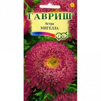 Астра Мигелла, семена