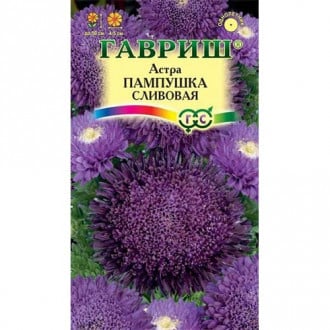 Астра Пампушка сливовая, семена