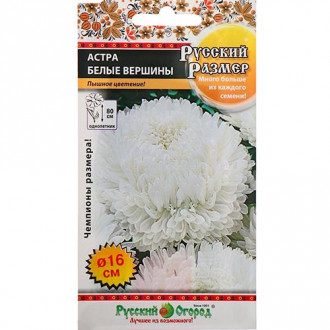 Астра Русский Размер Белые вершины, семена изображение 9